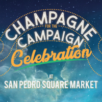 WSB-C4C-icon WSB-C4C-icon